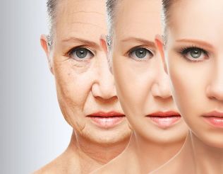 Factors that influence the natural and premature ageing
